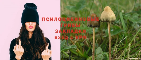 стафф Нягань