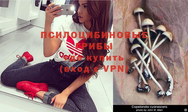 стафф Нягань