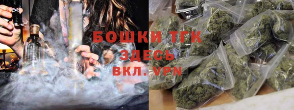 дурь Осинники