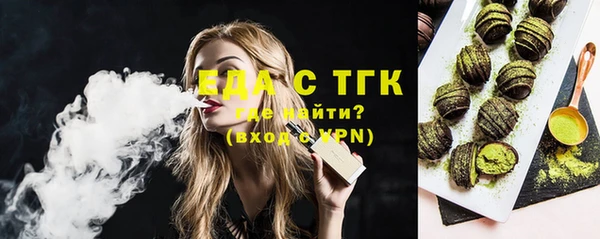 индика Осташков