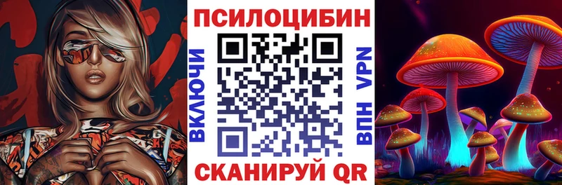 Псилоцибиновые грибы Psilocybine cubensis Нариманов